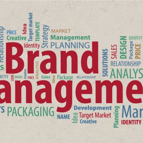 Brand Management at Snowball Creative Group